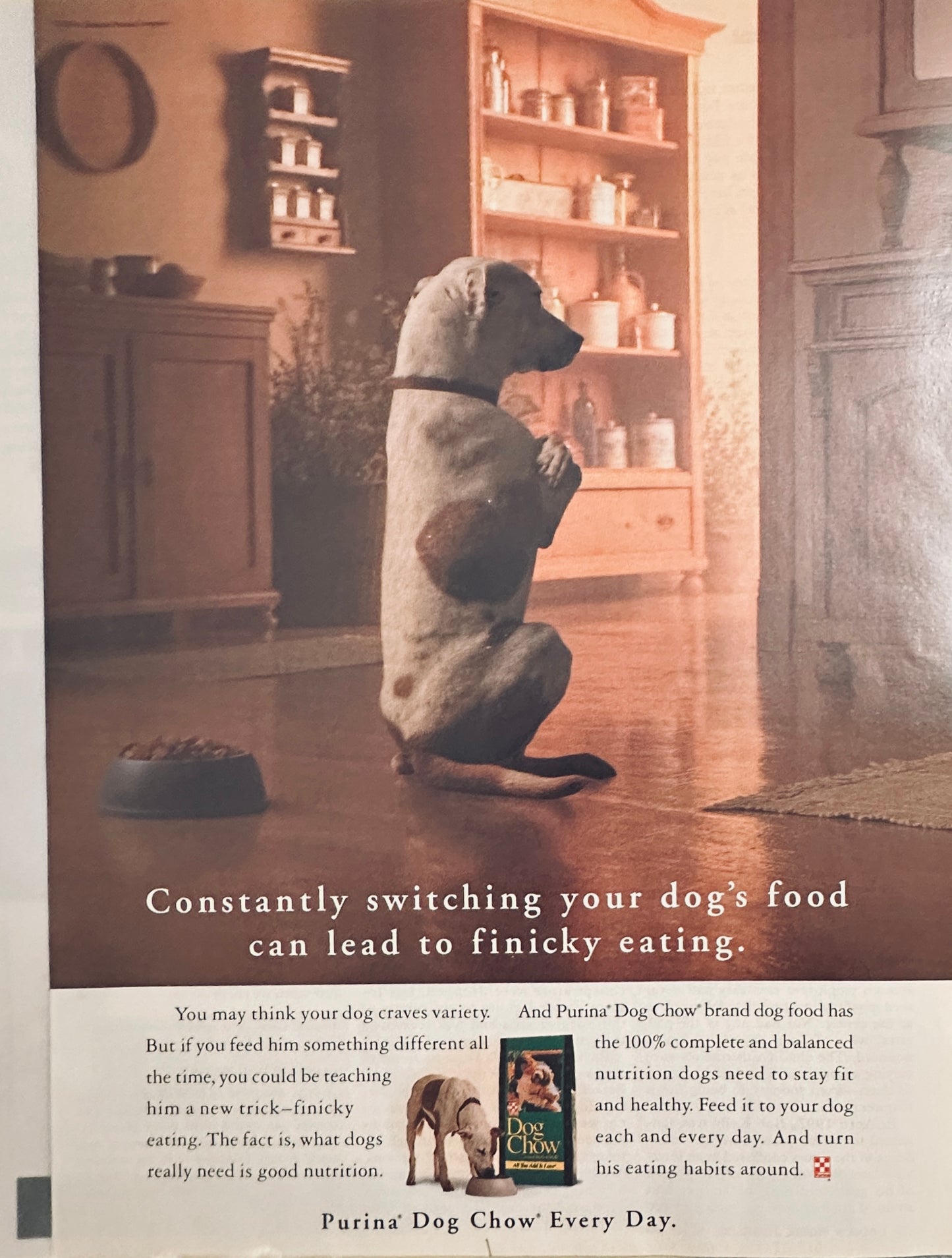 1994 Purina Dog Chow Magazine Ad - Turning His Back on Bowl