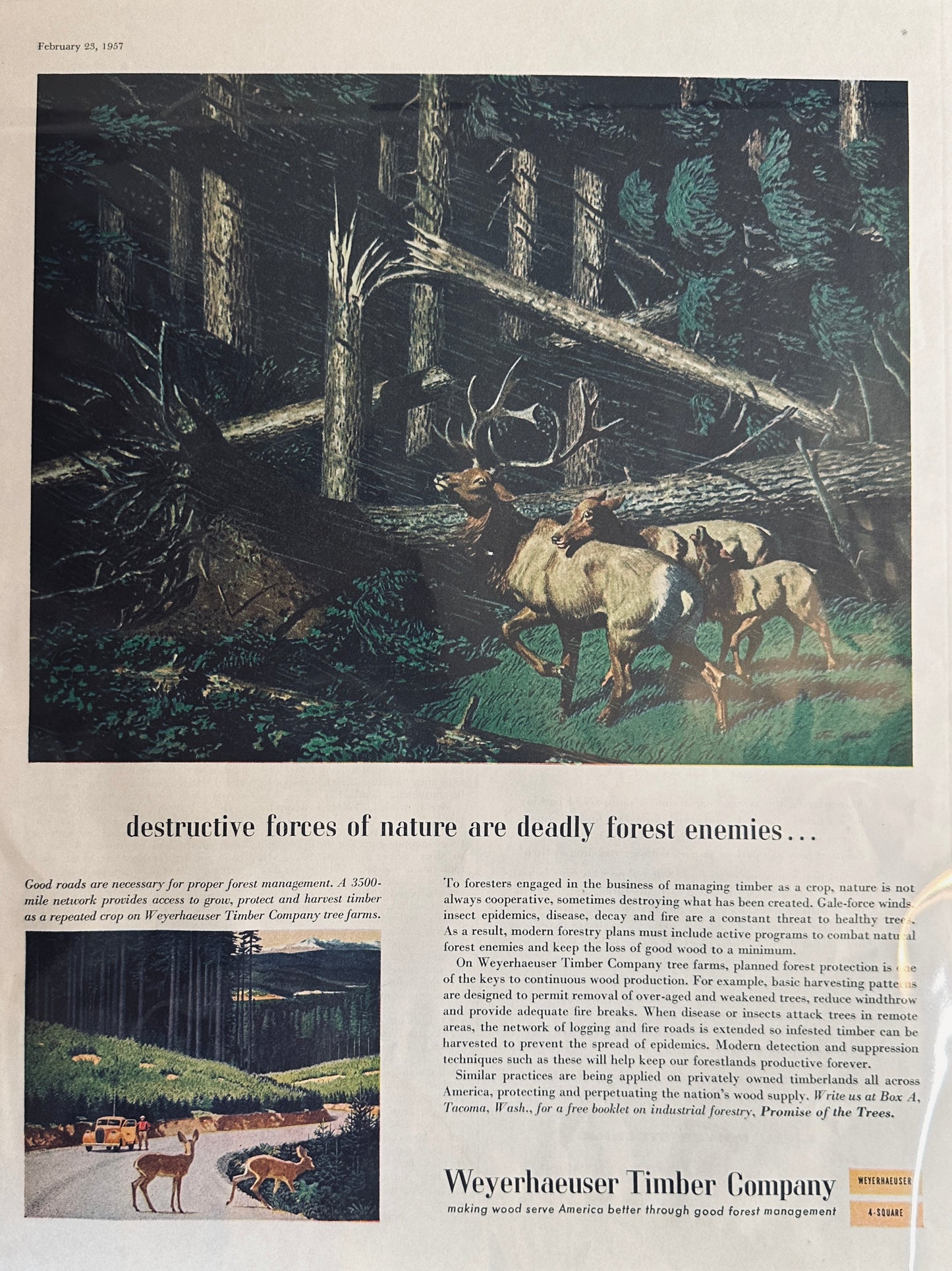 1957 Weyerhaeuser Timber Company Promotional Ad& Pontiac Power Steering Ads #417
