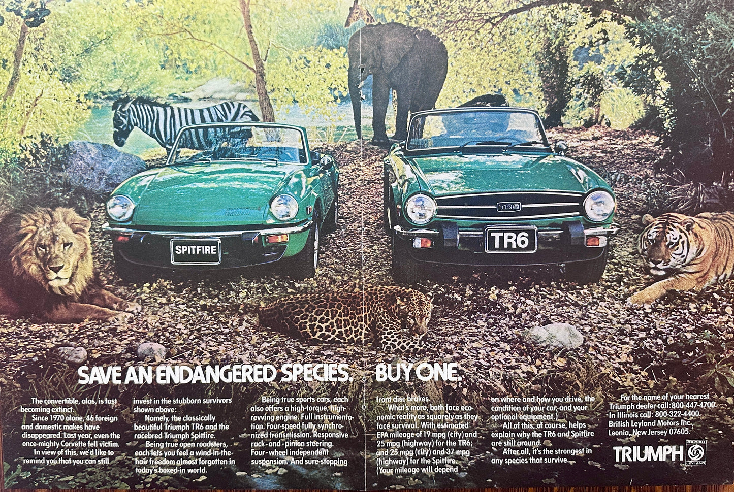 1976 Triumph Spitfire TR-6 In the Jungle Magazine Ad #A249-1-2