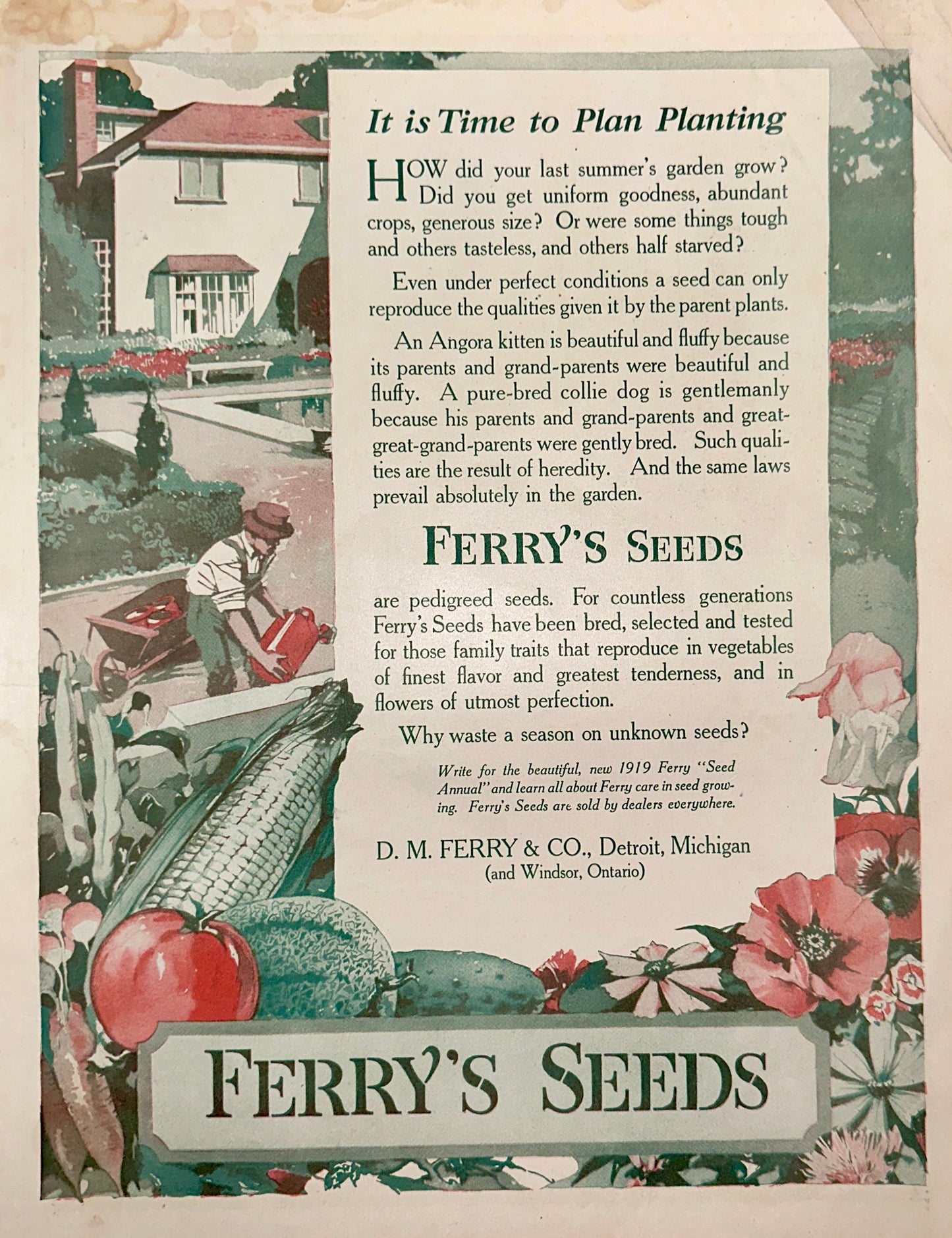 1919 Ferry's Seeds - D.M. Ferry & Co - Detroit, MI Ad #1899