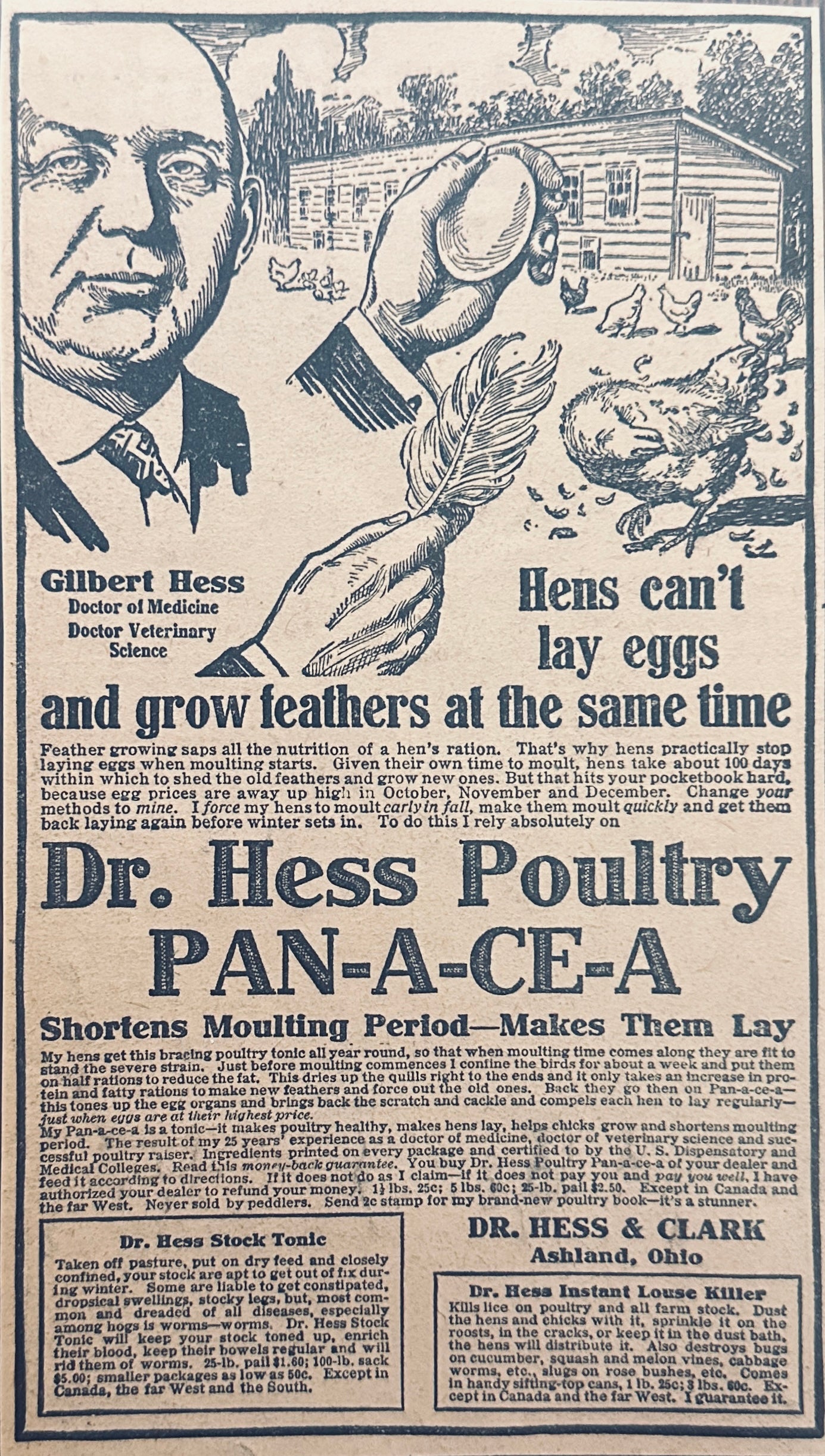 1913 Dr. Hess Poultry Panacea - Shortens Moulting Periods - Magazine Ad