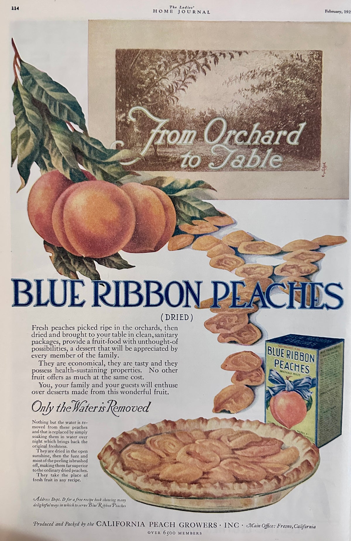 1920 Dual Sided Ads - Blue Bird Washer & Blue Ribbon Peaches Ad #2148