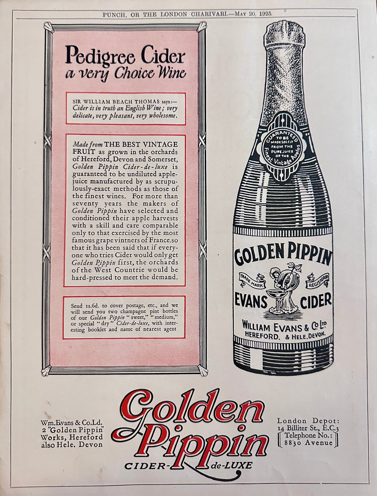 1925 Golden Pippen Cider de-Luxe British Ad #N1534