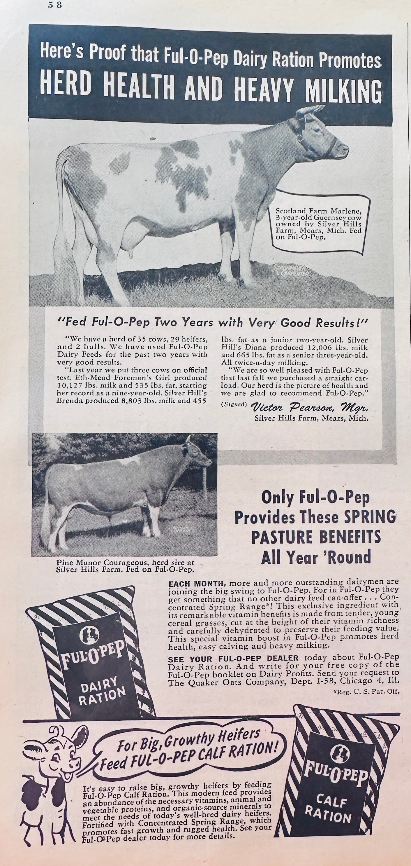 1948 Ful-O-Pep Dairy Rations Classic Feed Ad N364