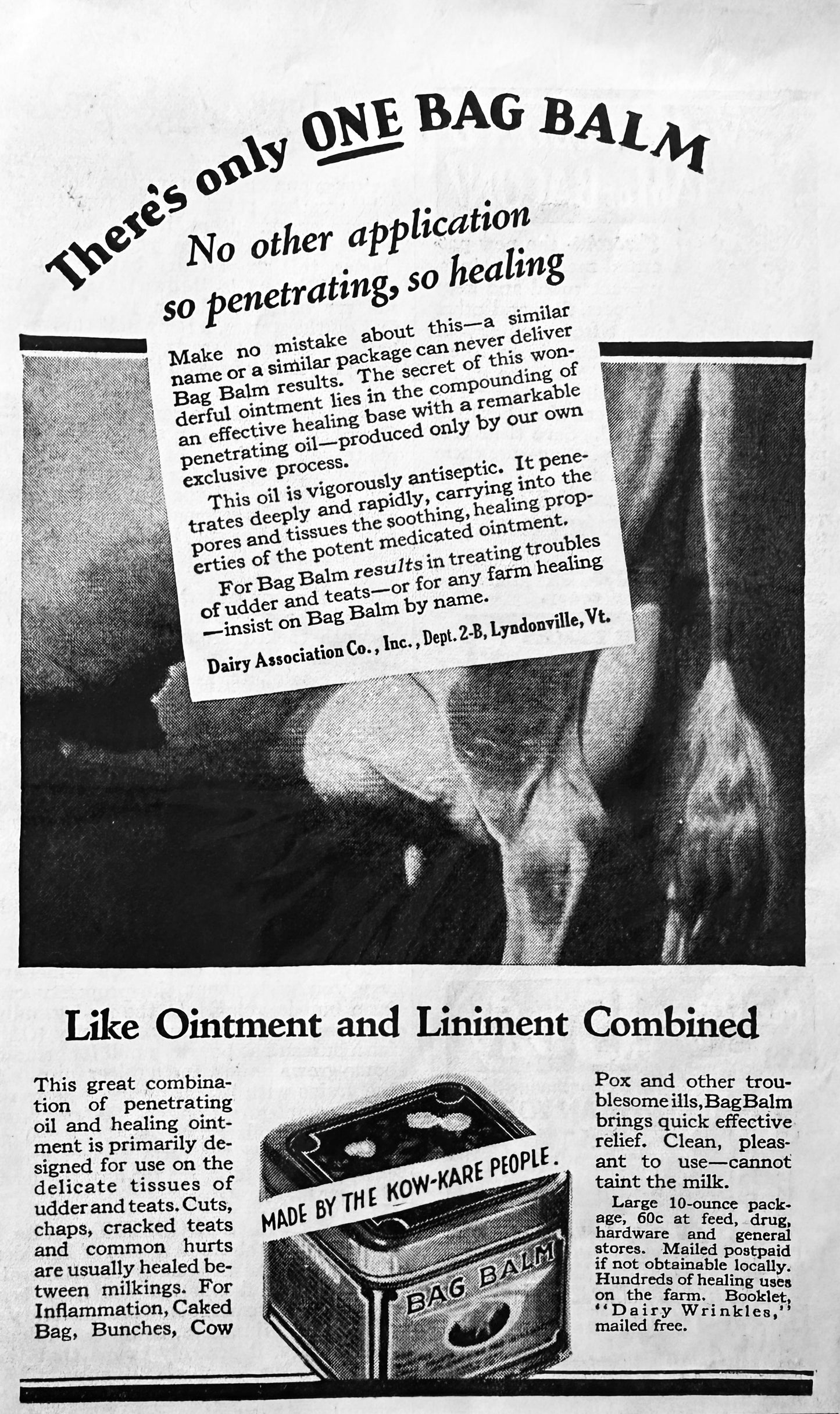 1931 Bag Balm Ointment & Liniment Combined Vintage Ad