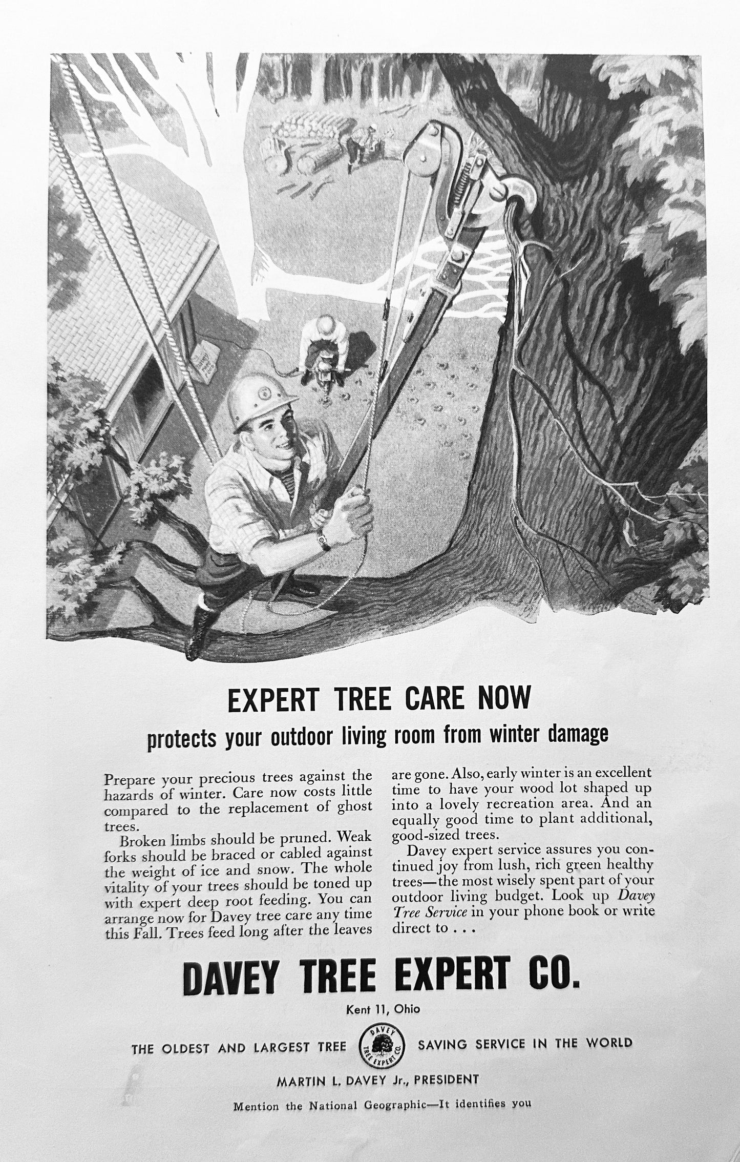 1958 Davey Tree Experts Co Kent Ohio Vintage Ad