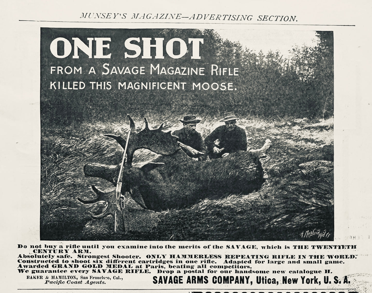 1901 Savage Magazine Rifle - Kills Moose with One Shot