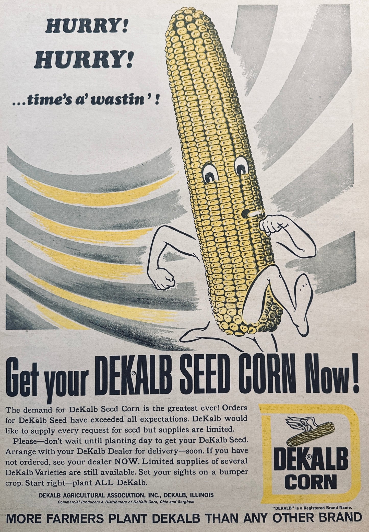 1965 Masterpiece Ad of Yesteryear #855 - Dekalb Seed Corn - Corn on The Run