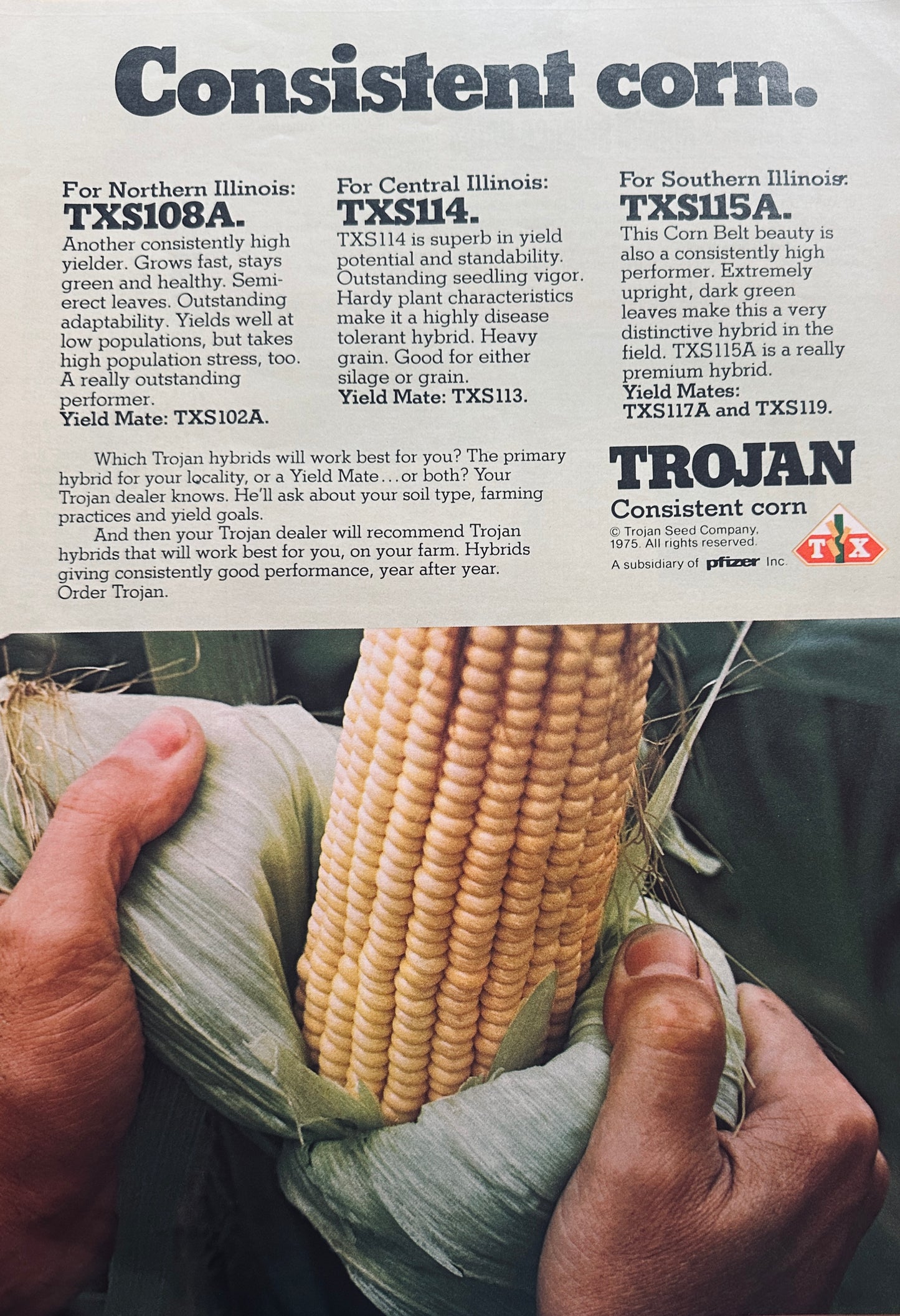 1975 Trojan Seed Co a Subsidiary of Pfizer Hybrid Seed Corn #1048