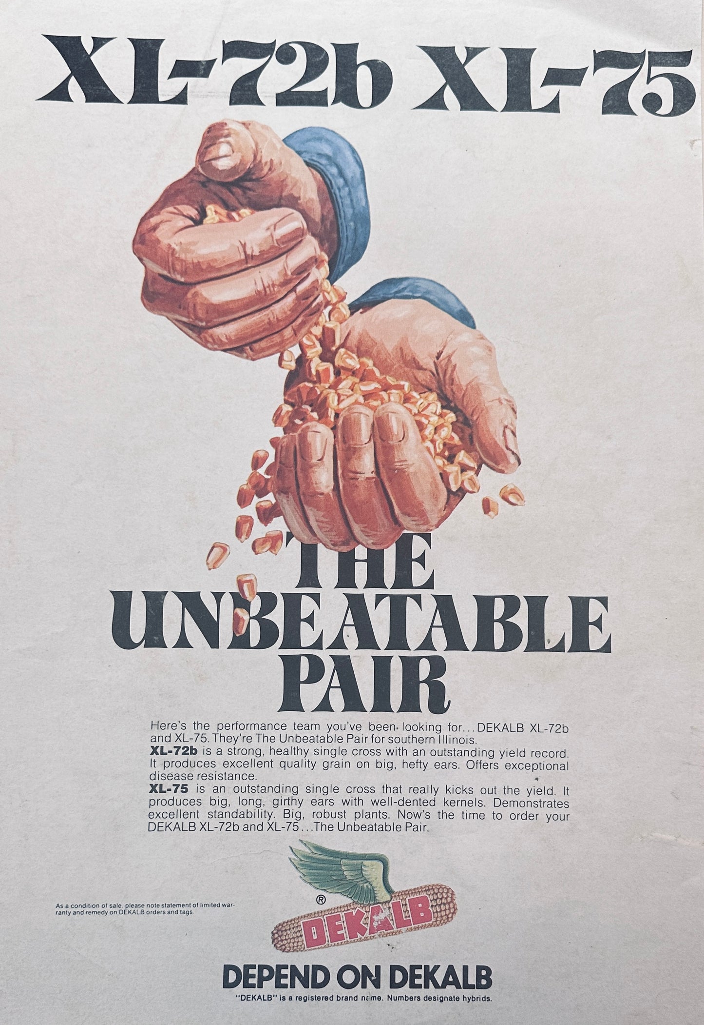 1975 DeKalb XL-72B XL-75 Unbeatable Pair Hybrid Corn Seed Ad #1073