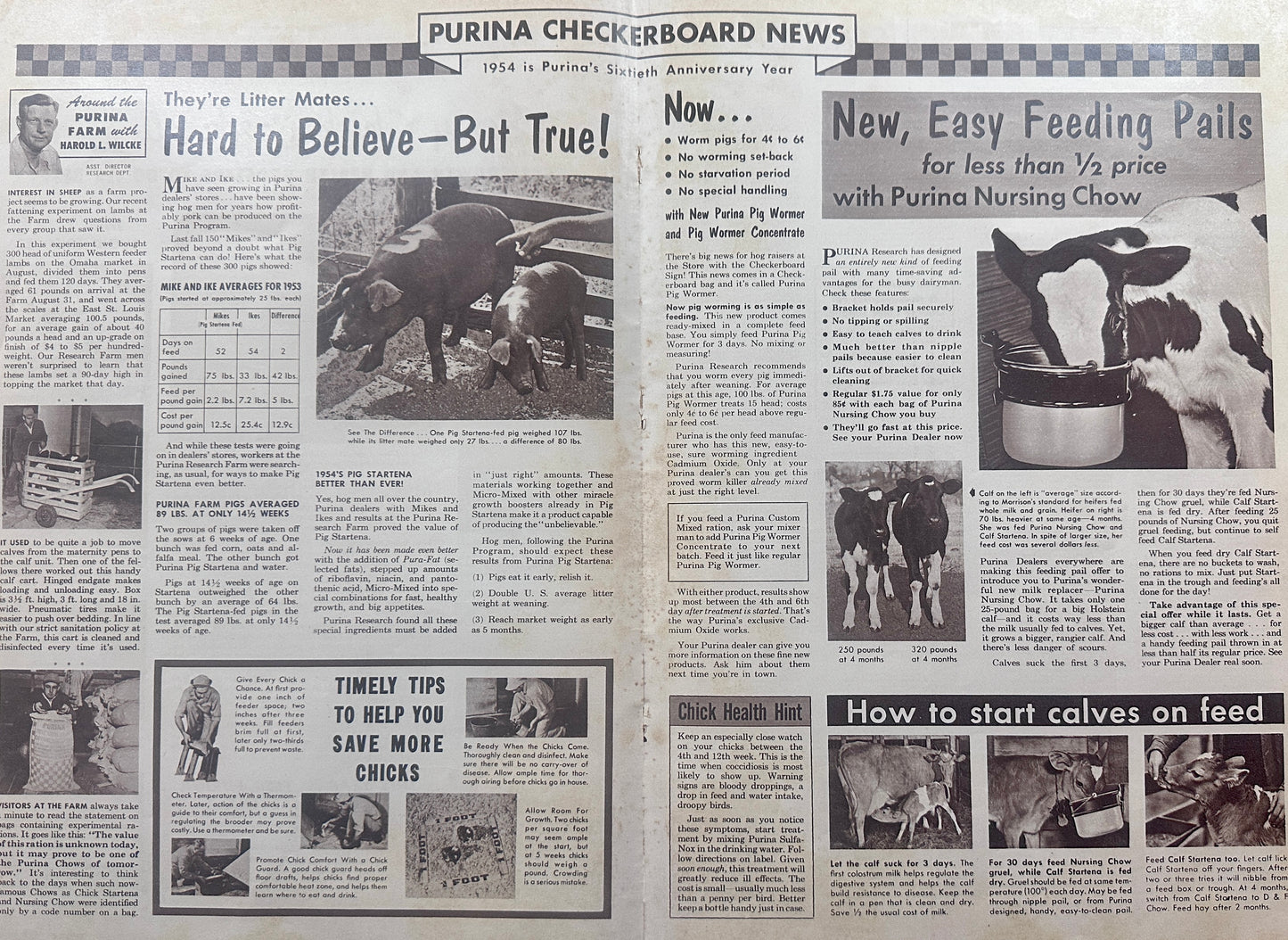 1954 Double Sided Centerfold Purina Checkerboard News Ad #1264