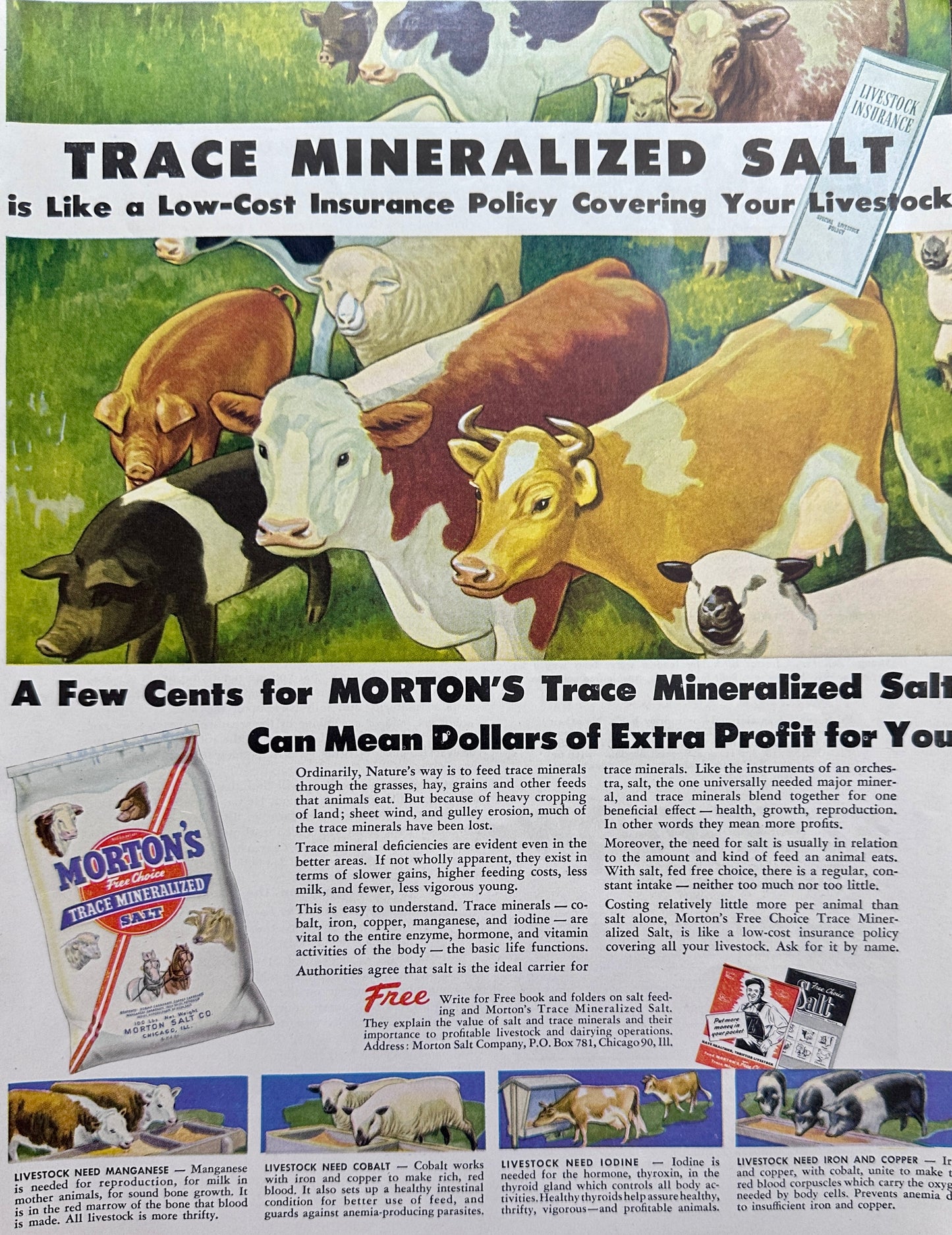 1949 Morton's Trace Mineralized Salt for Livestock Ad #1502