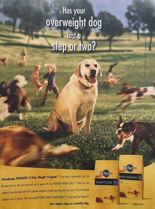 2004 Pedigree Pet Foods - Overweight Gold Lab - Magazine Ad