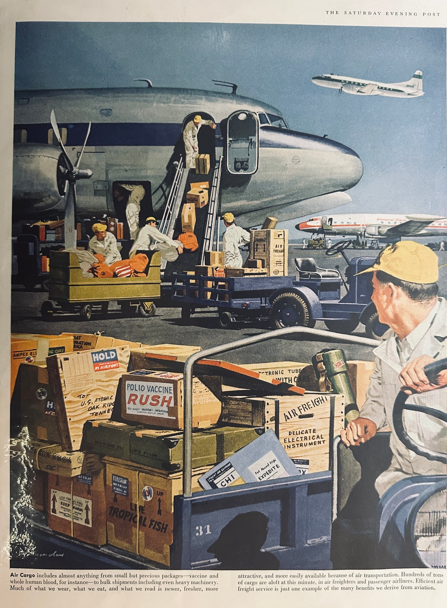 1957 Air Cargo - Beautiful Print Ad - Aviation