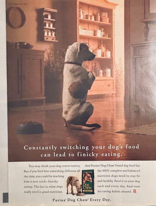 1994 Purina Dog Chow Magazine Ad - Turning His Back on Bowl