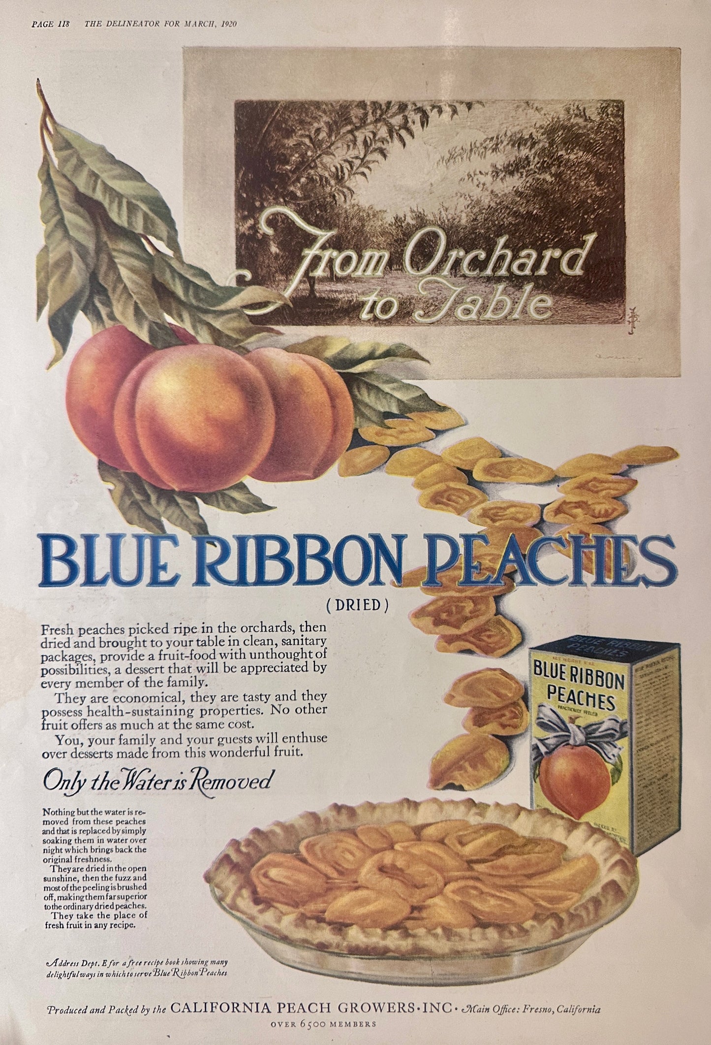 1920's Early Pantry Ads Featuring Fruit Set #111