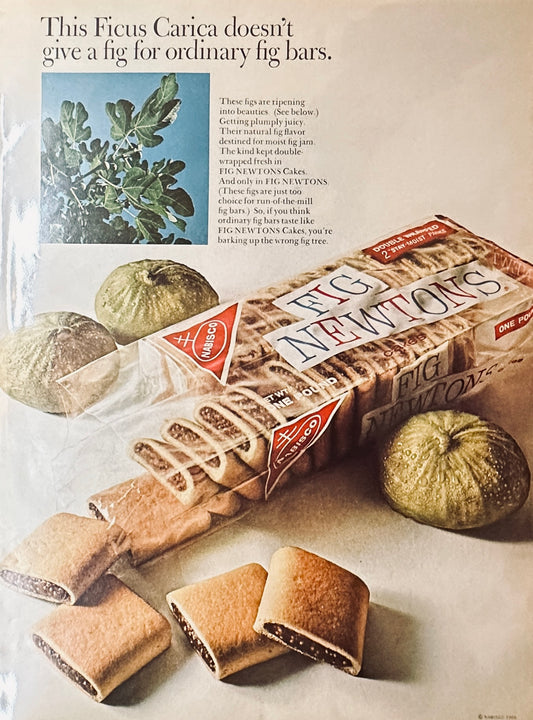 1966 Fig Newtons by Nabisco - So that's what a FIG looks like!?