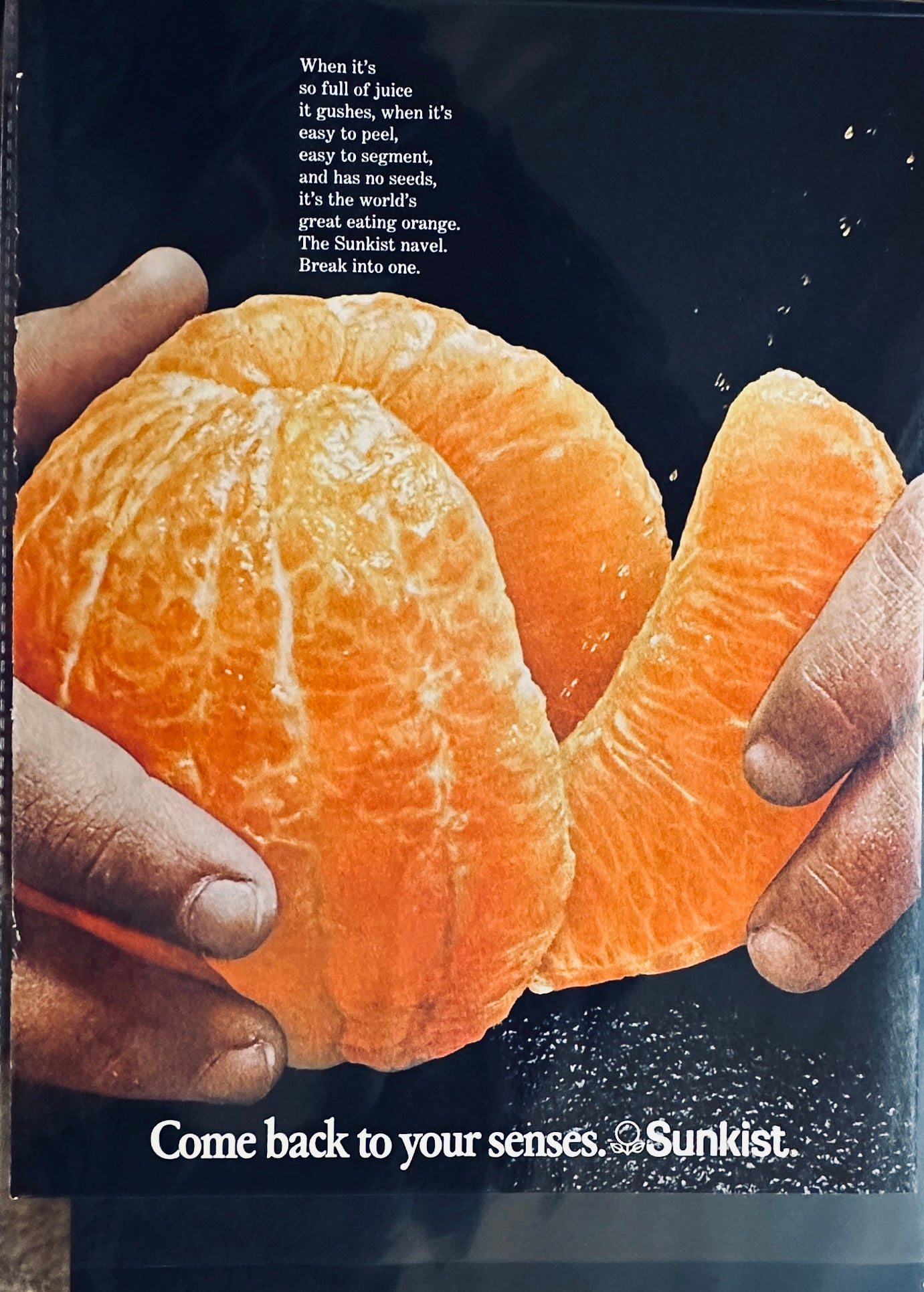 1971 Sunkist Navel Oranges Magazine Ad