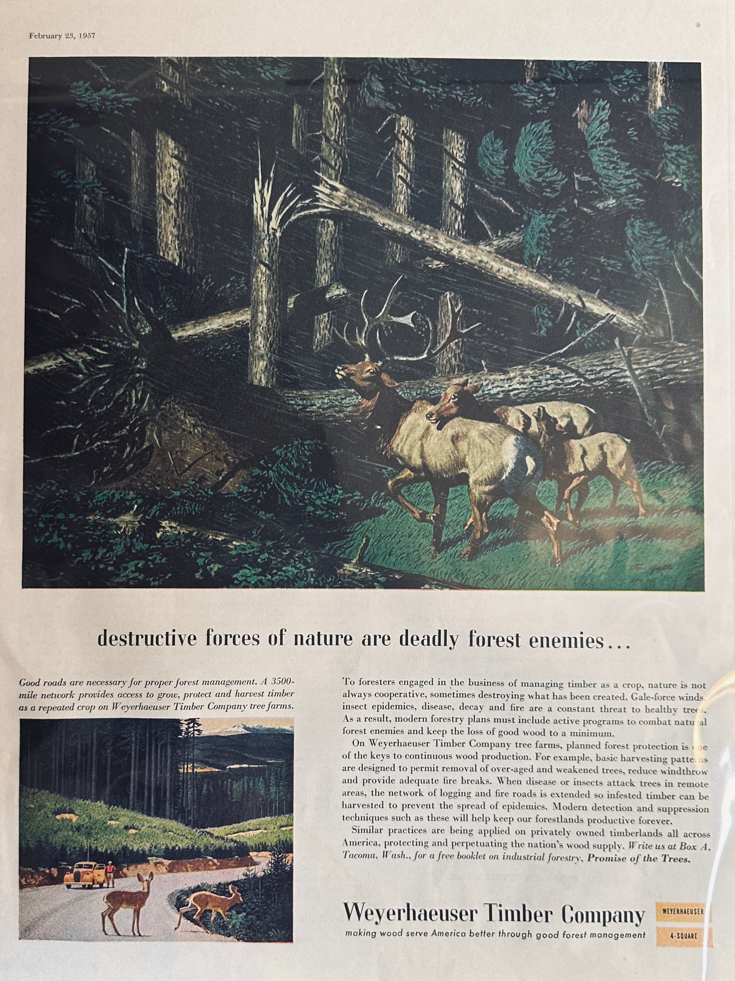 1957 Weyerhaeuser Timber Company Promotional Ad& Pontiac Power Steering Ads