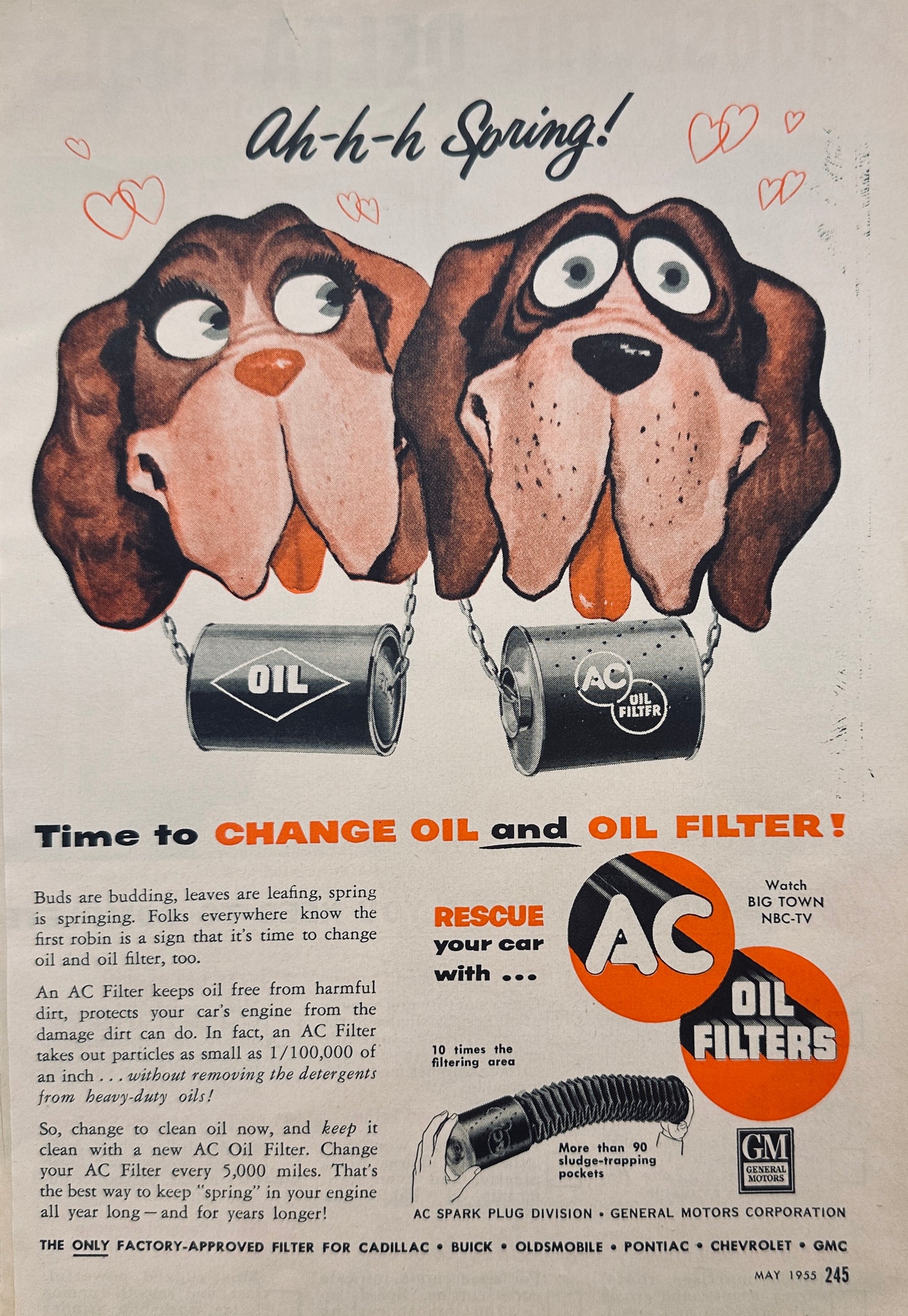 1955 AC Oil Filters - St Bernard Love Puppies! - Magazine Ad