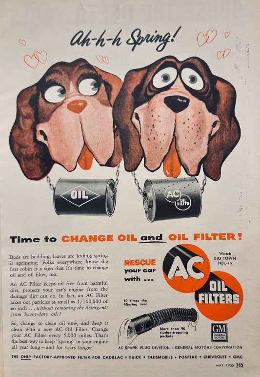 1955 AC Oil Filters - St Bernard Love Puppies! - Magazine Ad