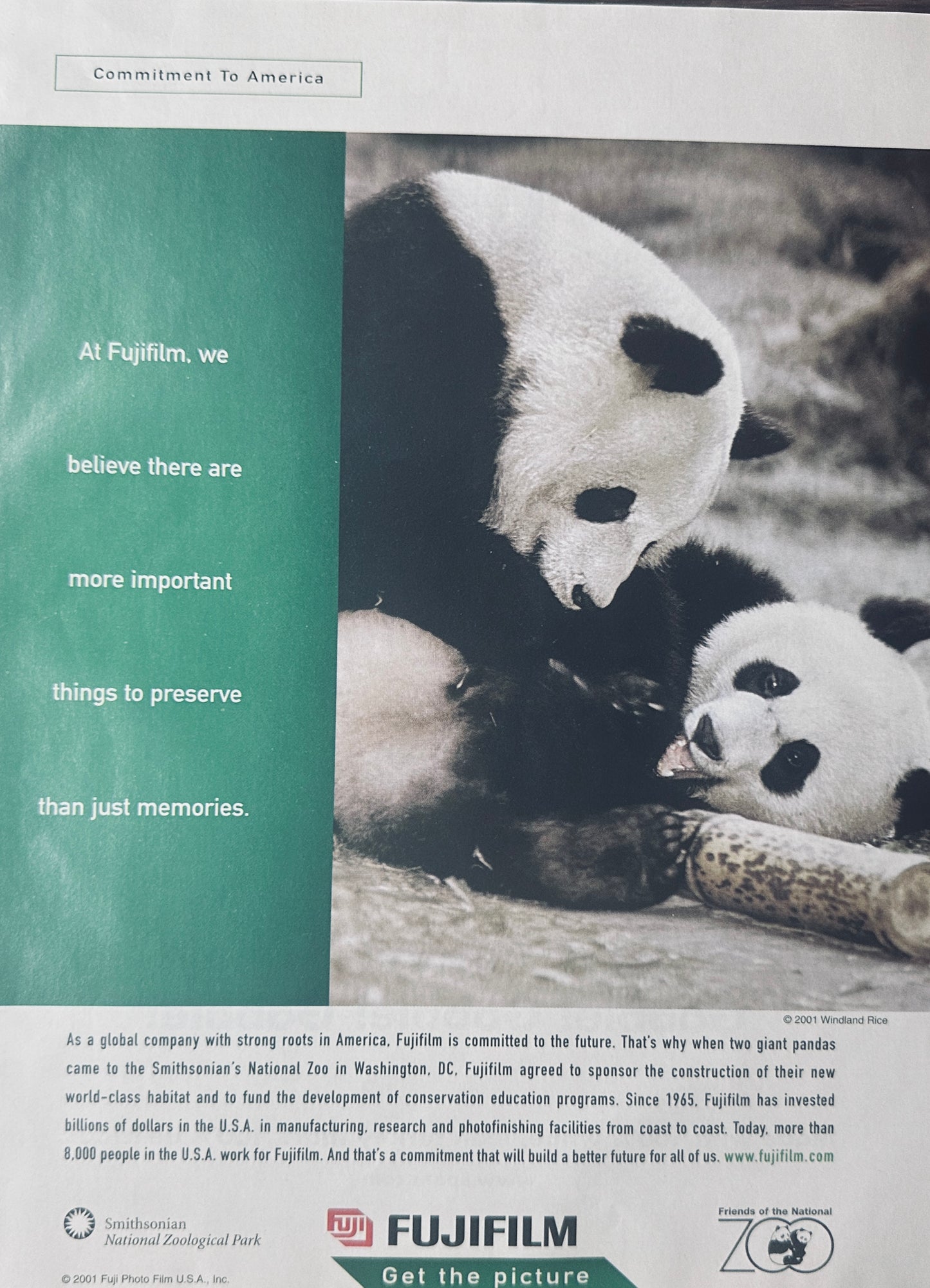 2001 Fuji Film Commitment To America Pandas Magazine Ad