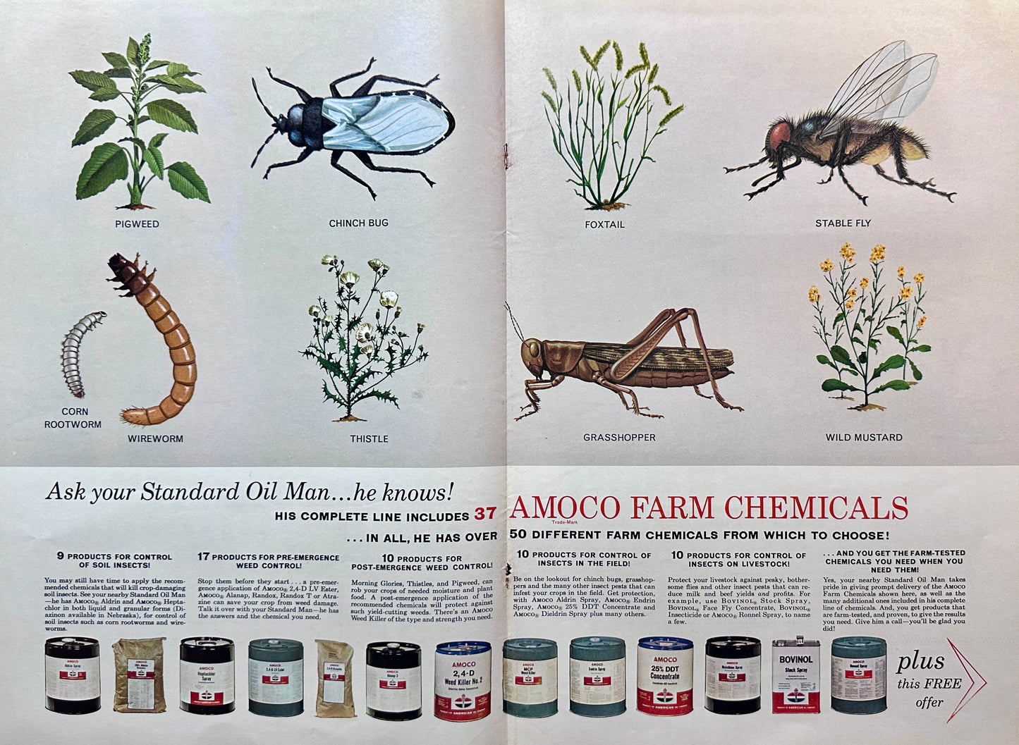 1965 Double Sided Large Poster Size Standard Oil Pesticides Vintage Ad