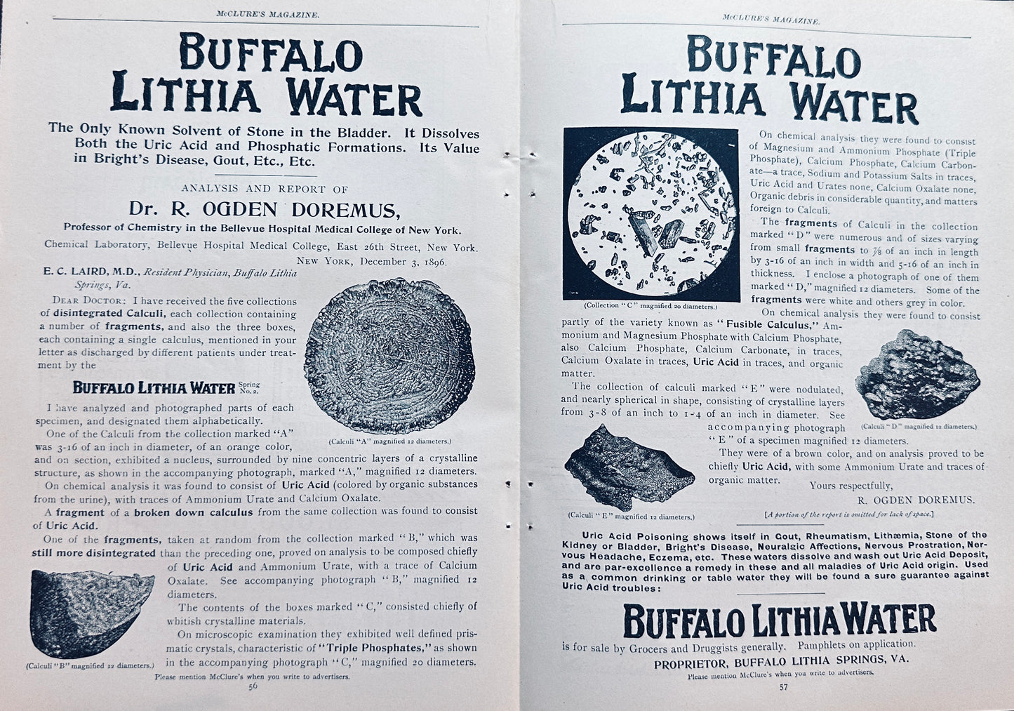 1897 Centerfold Buffalo Lithia Water - Solvent for Bladder Stones Ad #N1263