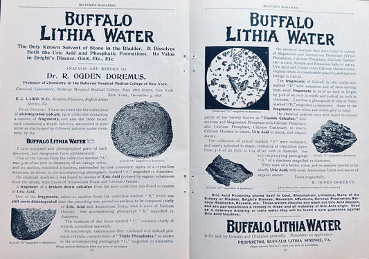 1897 Centerfold Buffalo Lithia Water - Solvent for Bladder Stones Ad #N1263