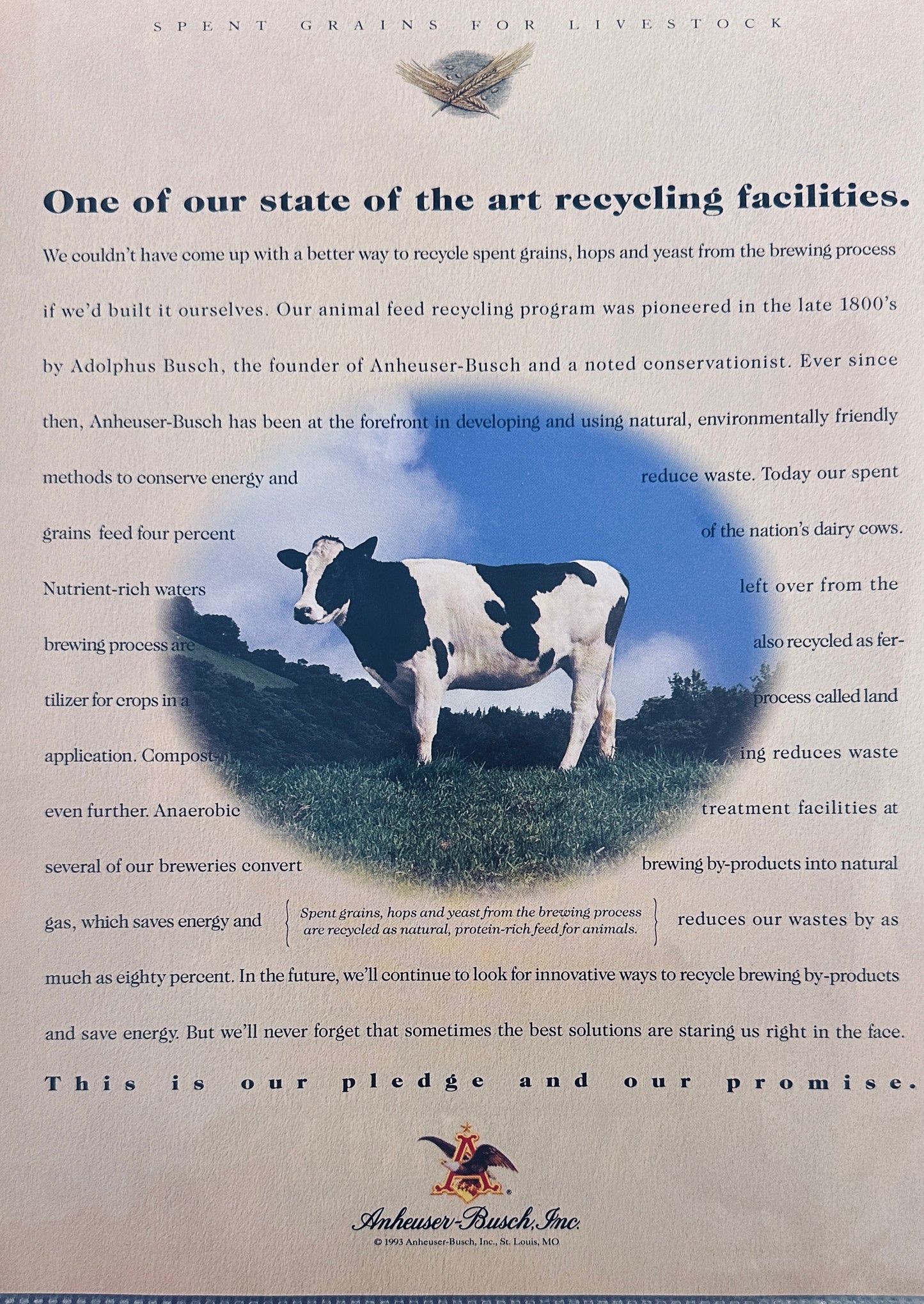 1994 Anheuser-Busch - Committed to Recycling - Spent Grains used for Animal Feed Ad