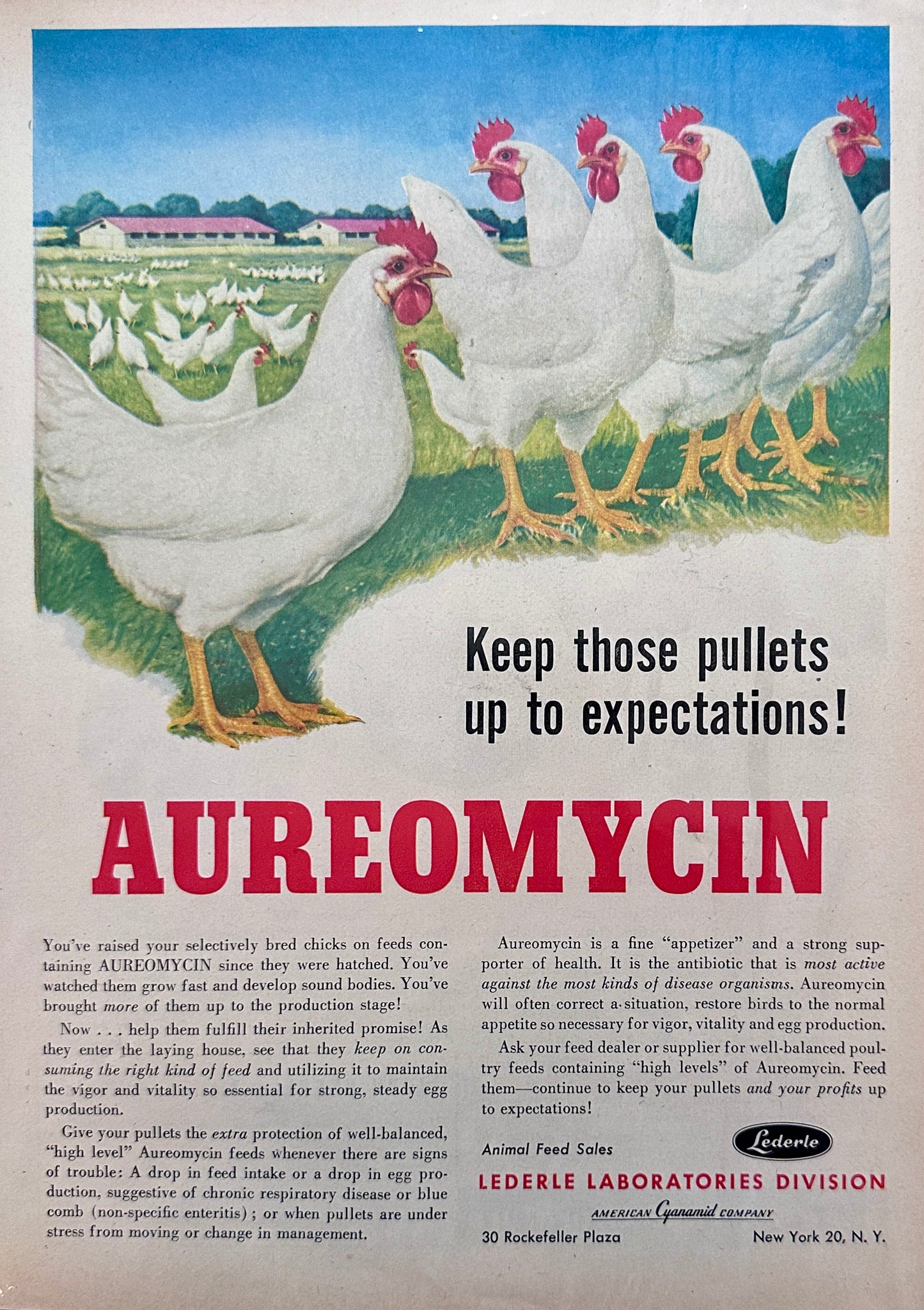 1953 John Deere Model 50, 60 & 70 Tractors + Aureomycin Chicken Medicine Ad