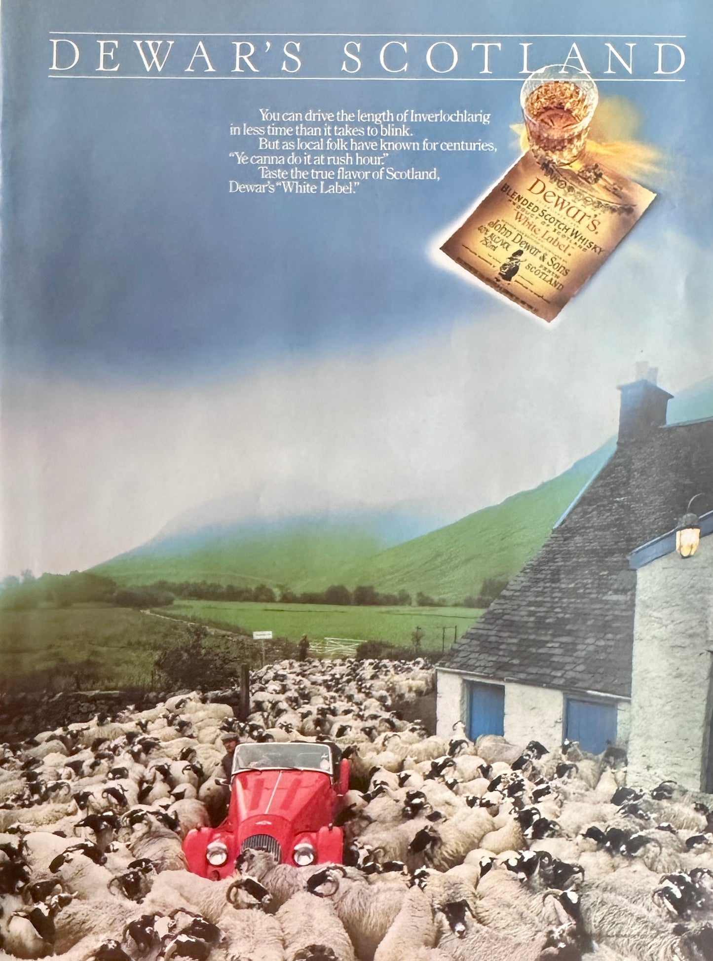 1993 Dewar's Scotch Whiskey and Red Morgan Sports Car in Flock of Sheep Magazine Ad