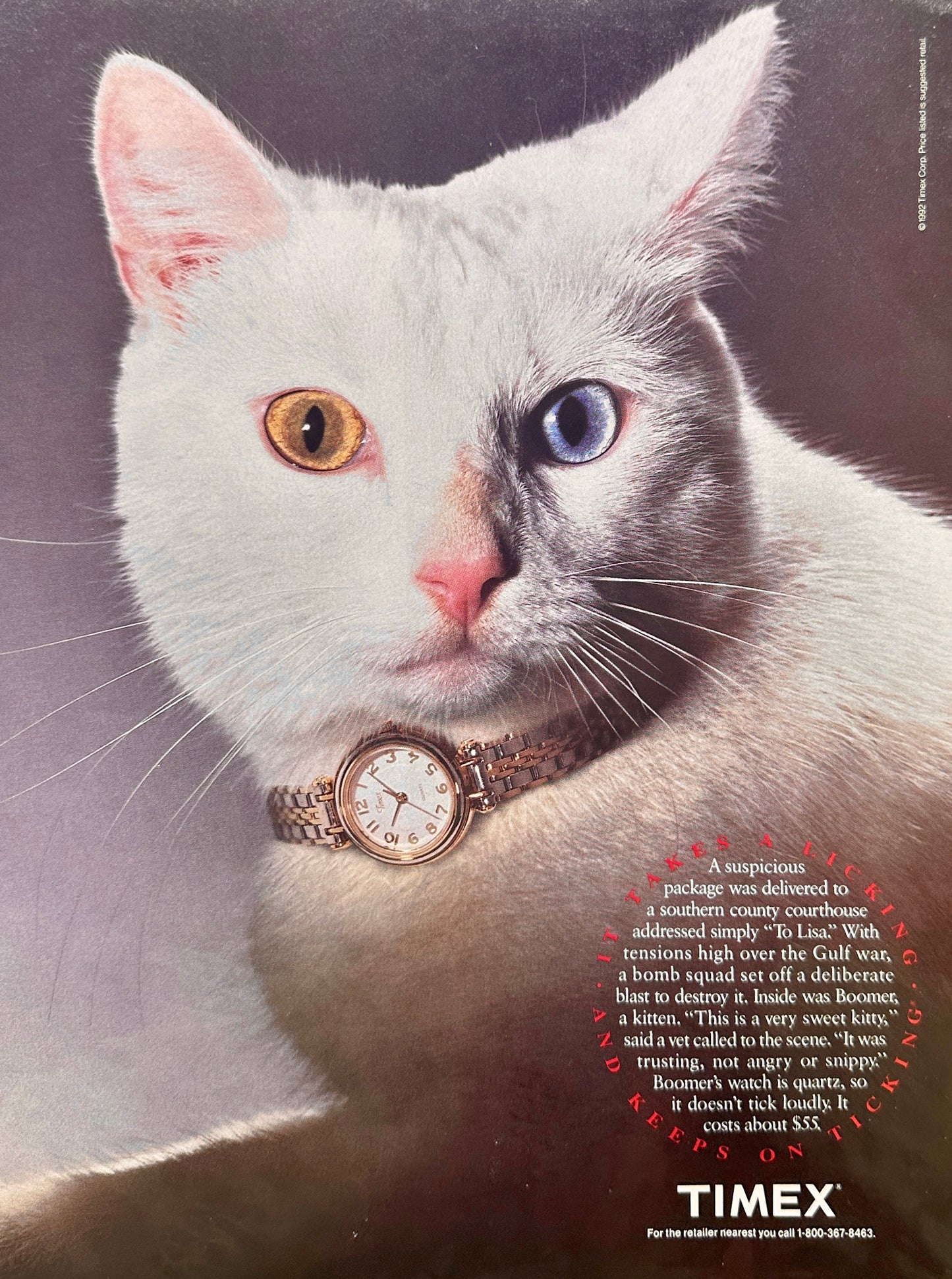 1992 Timex Women's Wristwatch as a Kitten Collar - Vintage Ad