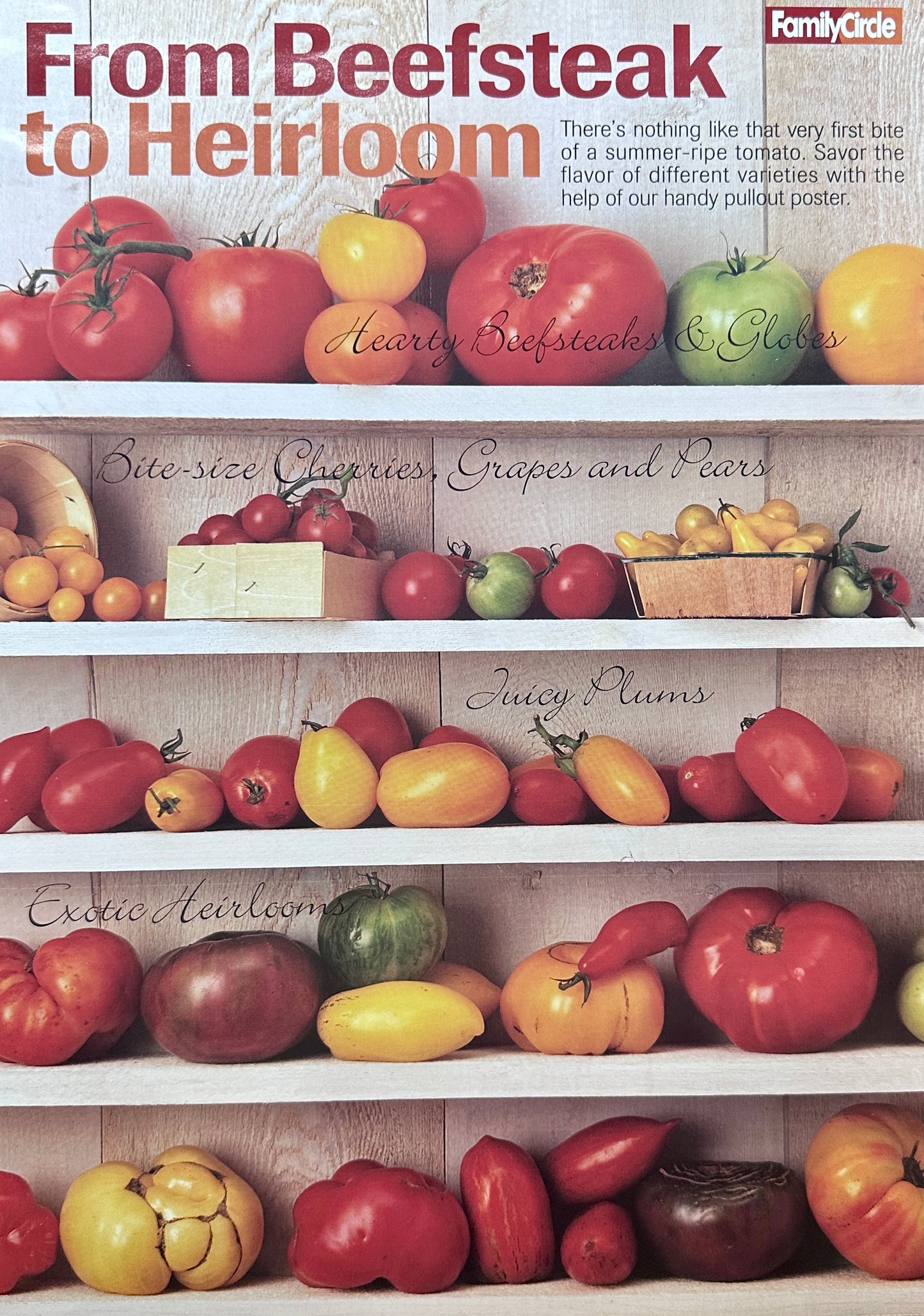 2003 Centerfold Magazine Display of all Types of Tomatos - Yummy!