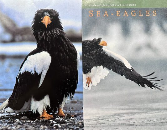 1992 Sea Eagles - Wildlife Feature - Closeup Pictures