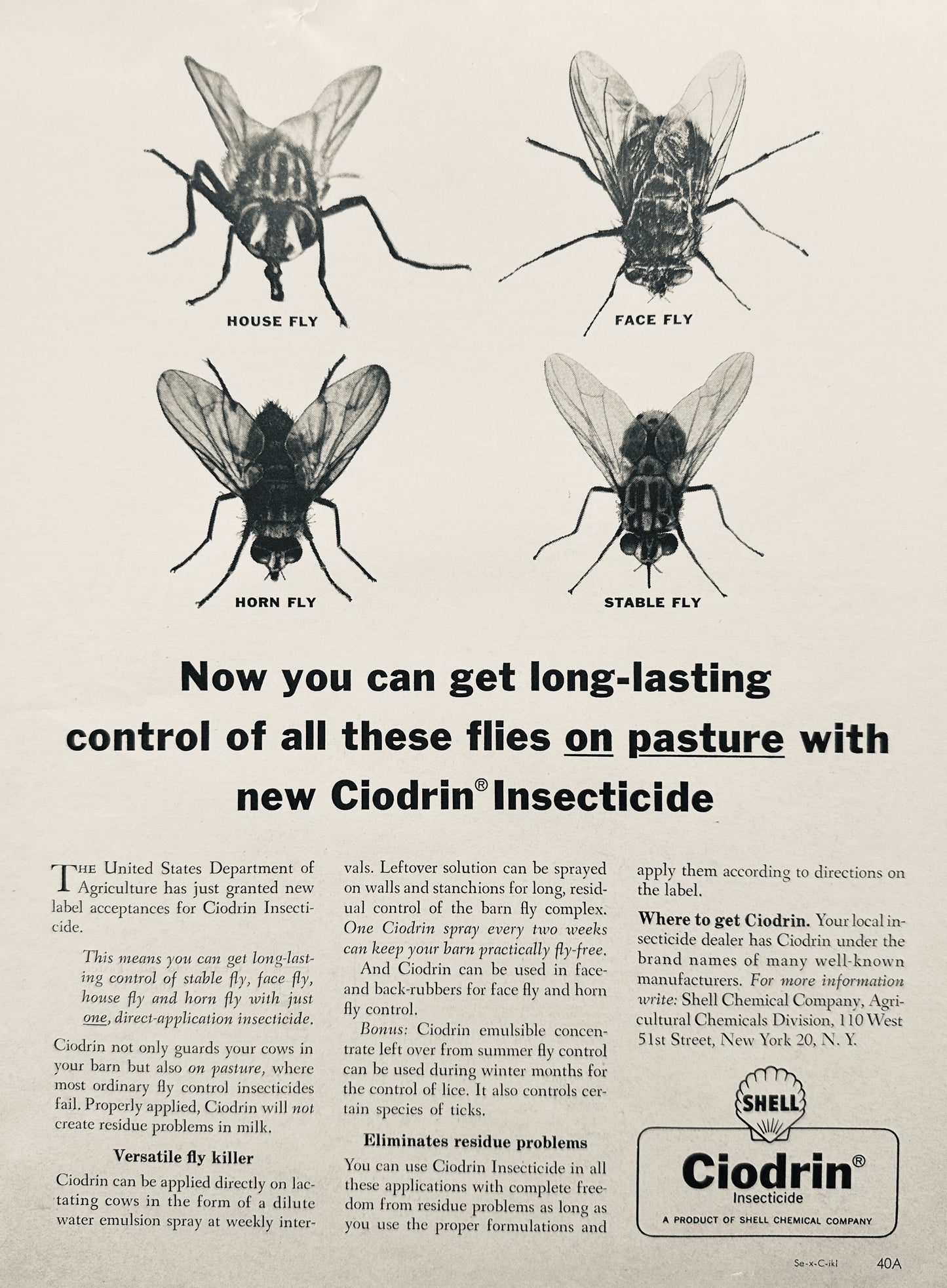 1963 Shell Ciodrin Insecticide for Control of Pasture Flies - Vintage Ad