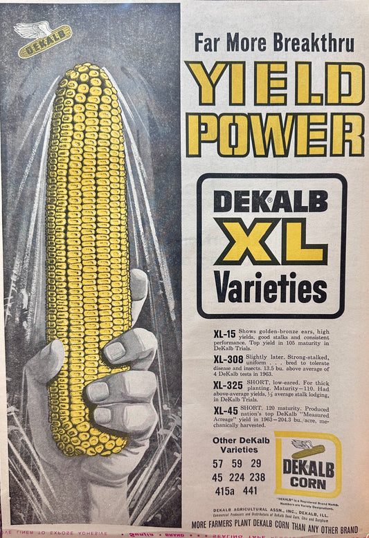 1964 Dekalb XL Varieties of Seed Corn - Dekalb, IL - Vintage Ad