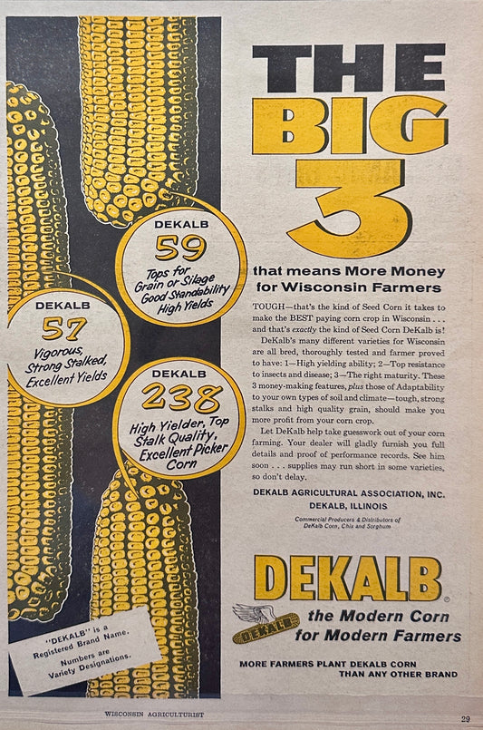 1963 Dekalb - The Modern Corn - The Big 3 - Vintage Ad