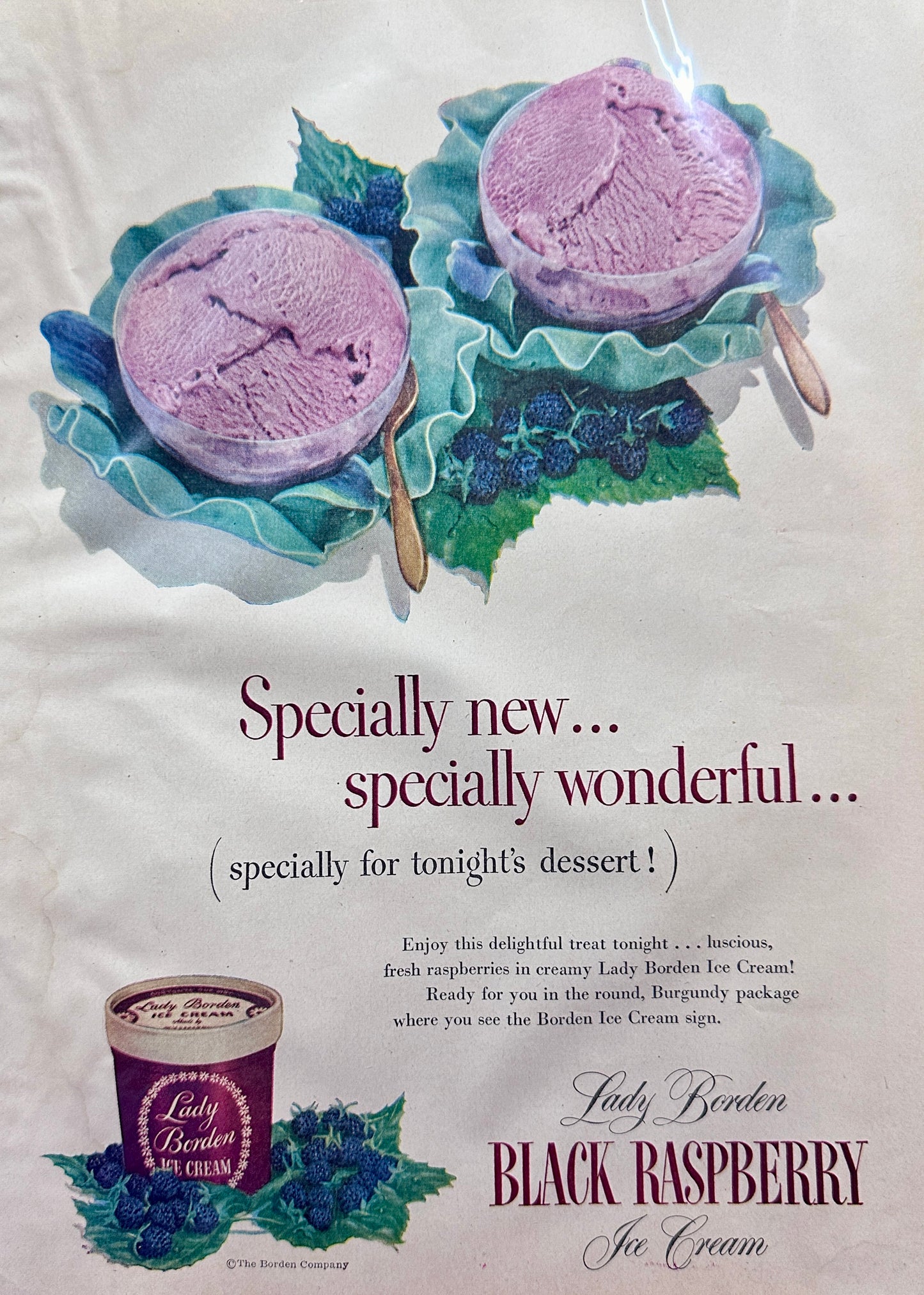 1950 Lady Borden Black Raspberry Ice Cream Vintage Ad