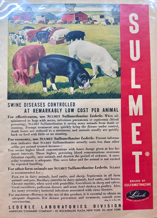 1948 Sulmet For Control of Swine Diseases - Lederle Labs Division - Vintage Ad N879