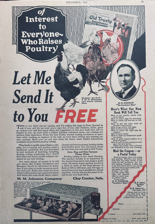 1924 The Old Trusty Incubator & Brooder - Poultry - Chickens Vintage Ad N210
