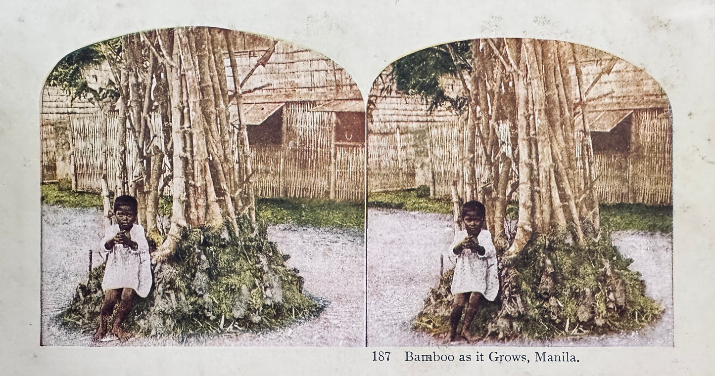 1919 Stereo Scope Cabinet Cards (lot of 4) Misc Subjects