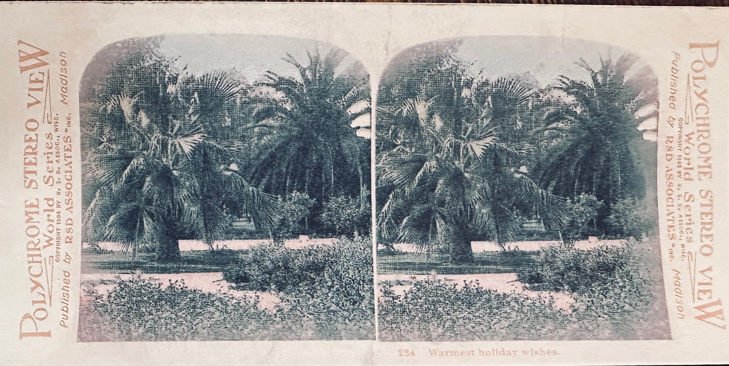 1919 Stereo Scope Cabinet Cards (lot of 4) Misc Subjects