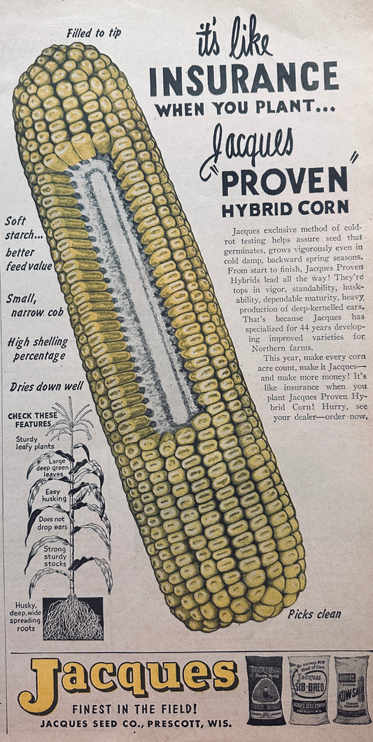 1954 Masterpiece Ad of Yesteryear - Jacques Hybrid Corn Seed #806 Prescott WI