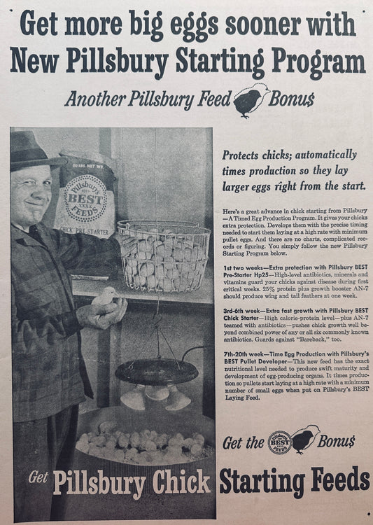 1959 Pillsbury Chicken Feed Vintage Ad #820