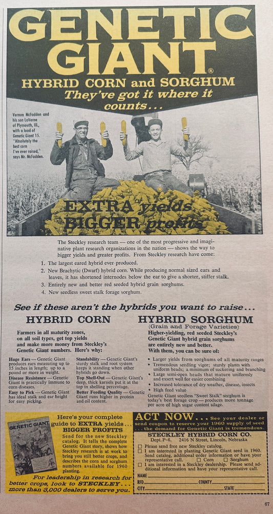 1959 Steckley Genetic Giant Corn & Sorghum Seed - Lincoln, NE #824