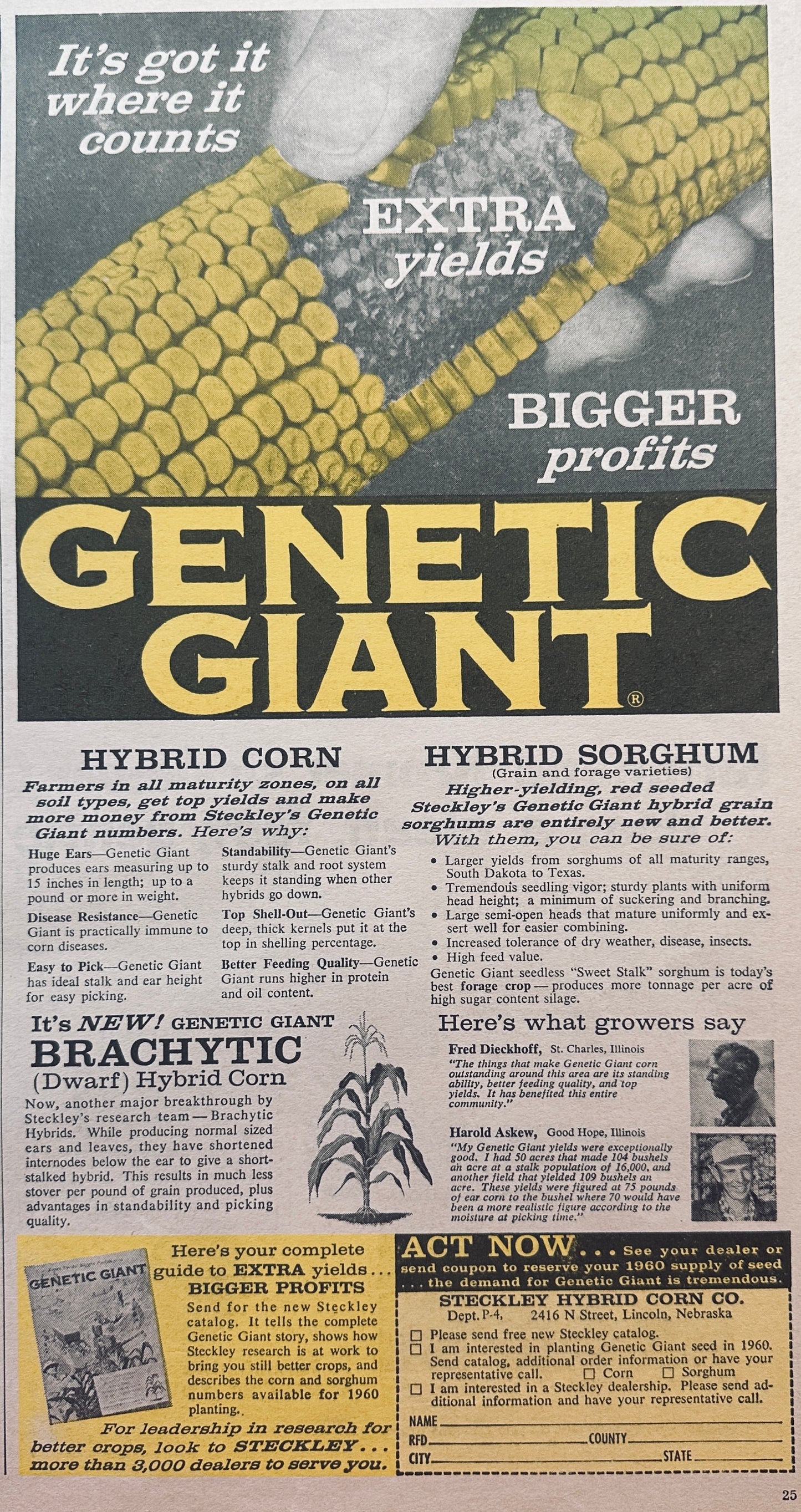 1959 Steckley Hybrid Corn Genetic Giant - #823 - Lincoln, Nebraska