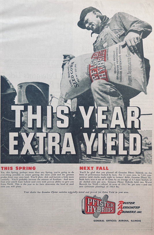 1954 Pfister Hybrids PAG Seed Corn Vintage Ad #825
