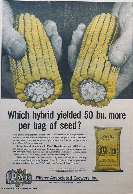 1958 Pfister Associated Growers Corn Hybrid Yields 50 BU More/Bag #828