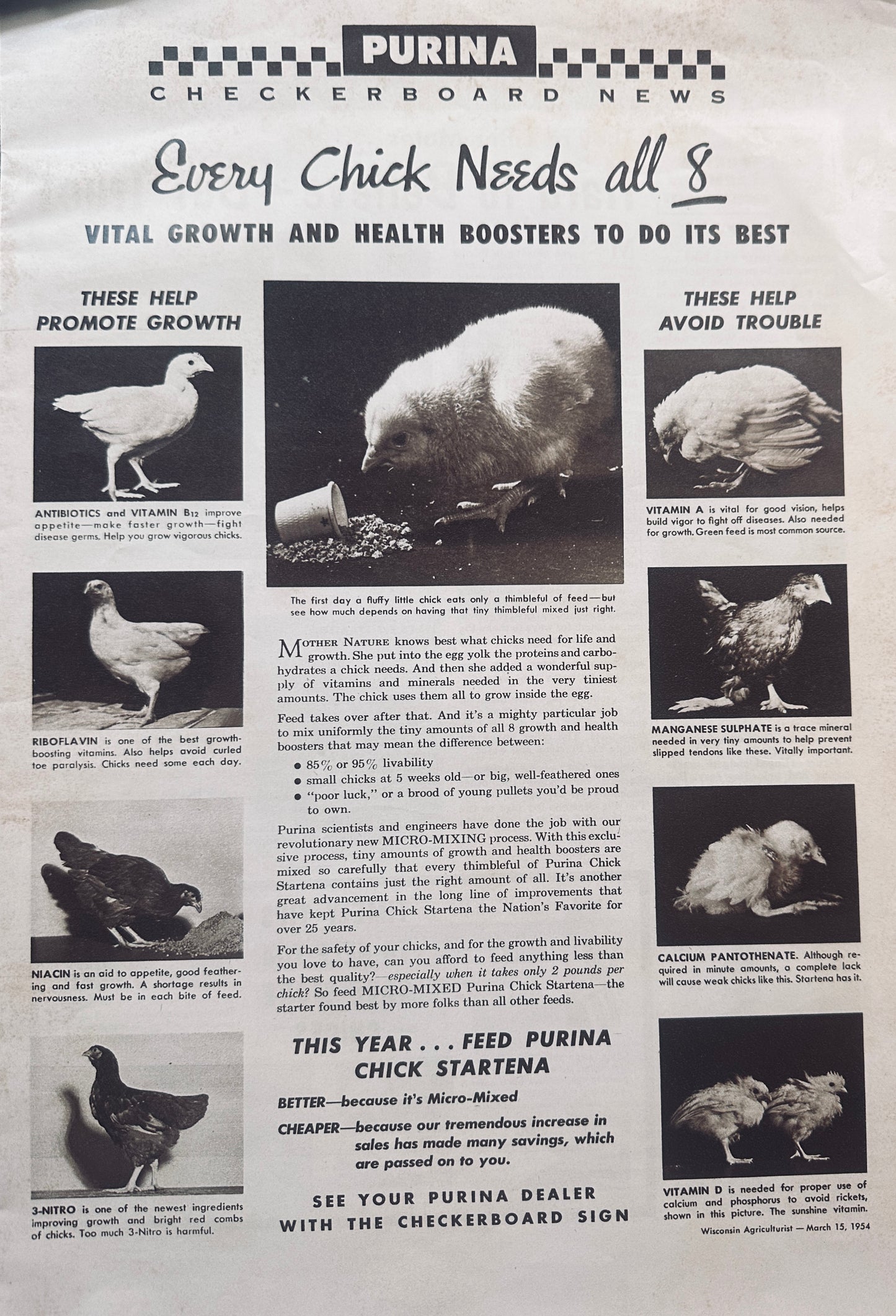 1954 Double Sided Centerfold _ Purina Checkerboard New #838